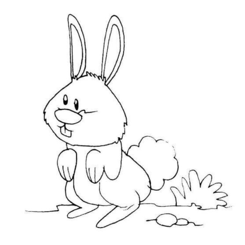 tranh tô màu con thỏ