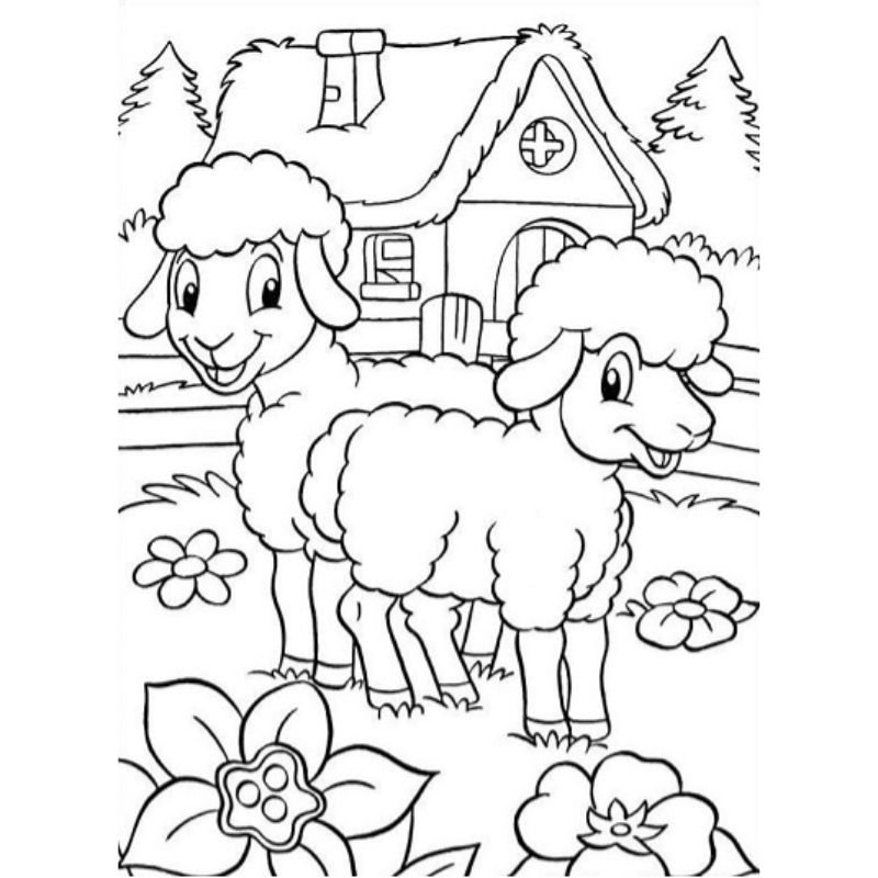 Cách Tô Màu Con Cừu – Hướng Dẫn Đầy Đủ Cho Người Mới Bắt Đầu